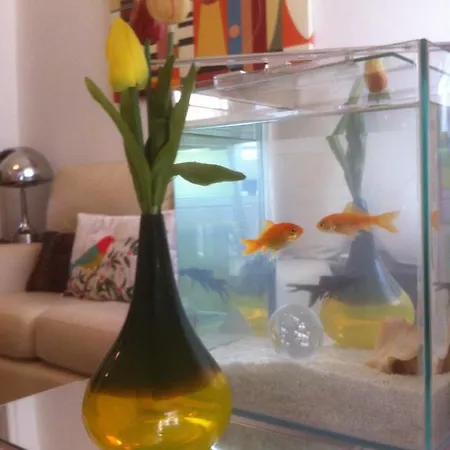Sebeiro Apartment Lisbon
